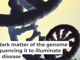 There is still a great deal unknown about RNA and its modifications. Christoph Burgstedt/Science Photo Library via Getty Images